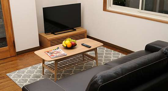 hakuba echoland chalets - standard - lounge